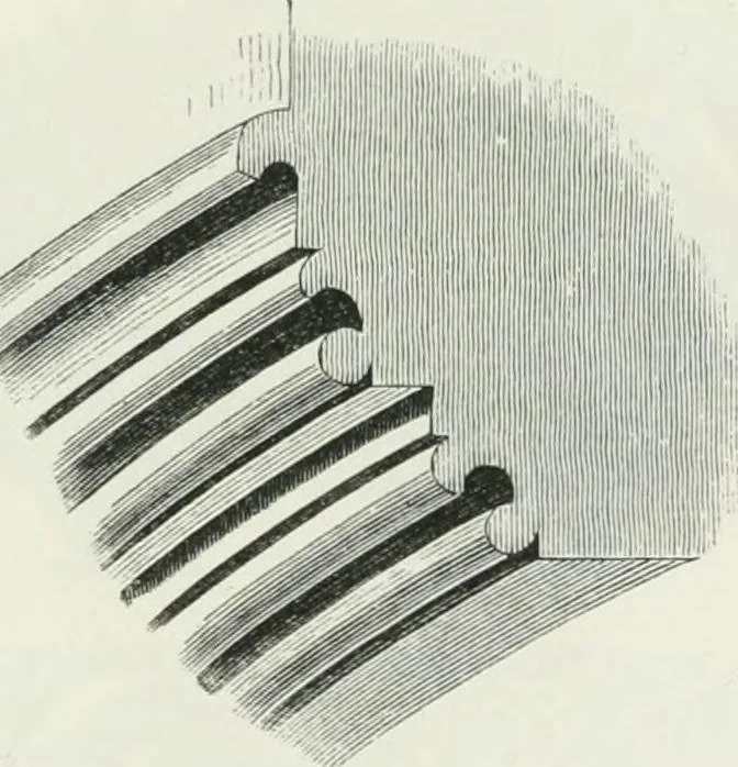 An illustration from An attempt to discriminate the styles of architecture in England : from the Conquest to the Reformation : with a sketch of the Grecian and Roman orders, 1862, leaf 244