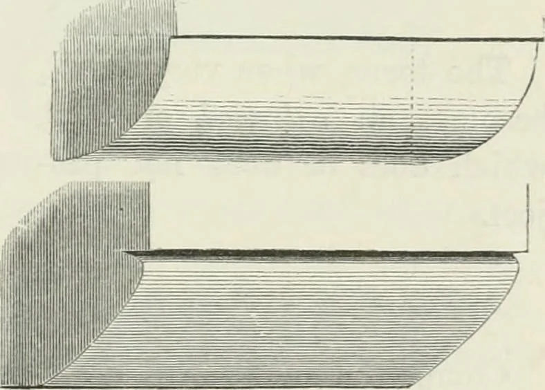 An illustration from An attempt to discriminate the styles of architecture in England : from the Conquest to the Reformation : with a sketch of the Grecian and Roman orders, 1862, leaf 32