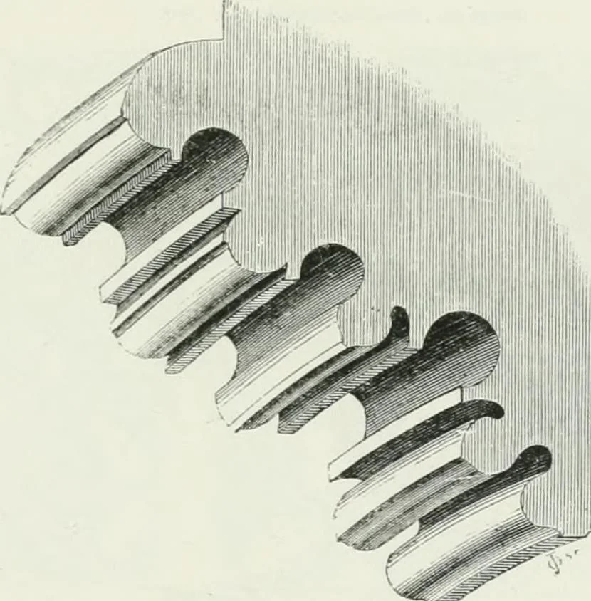 An illustration from An attempt to discriminate the styles of architecture in England : from the Conquest to the Reformation : with a sketch of the Grecian and Roman orders, 1862, leaf 348