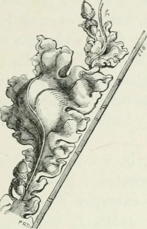 An illustration from An attempt to discriminate the styles of architecture in England : from the Conquest to the Reformation : with a sketch of the Grecian and Roman orders, 1862, leaf 352