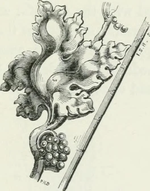An illustration from An attempt to discriminate the styles of architecture in England : from the Conquest to the Reformation : with a sketch of the Grecian and Roman orders, 1862, leaf 352