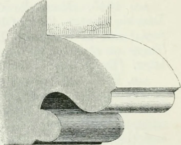 An illustration from An attempt to discriminate the styles of architecture in England : from the Conquest to the Reformation : with a sketch of the Grecian and Roman orders, 1862, leaf 407