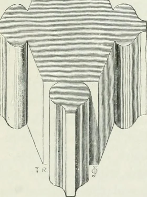 An illustration from An attempt to discriminate the styles of architecture in England : from the Conquest to the Reformation : with a sketch of the Grecian and Roman orders, 1862, leaf 434