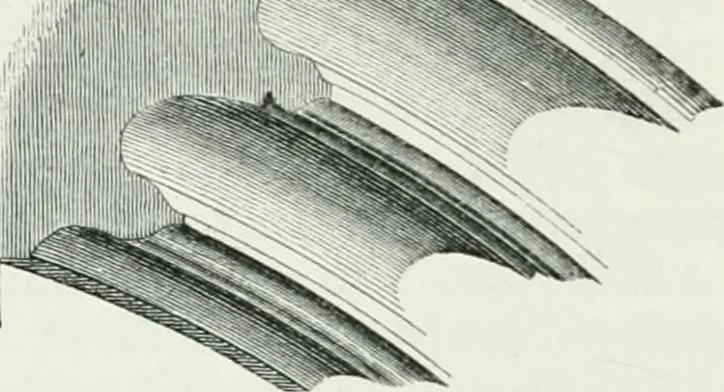An illustration from An attempt to discriminate the styles of architecture in England : from the Conquest to the Reformation : with a sketch of the Grecian and Roman orders, 1862, leaf 513