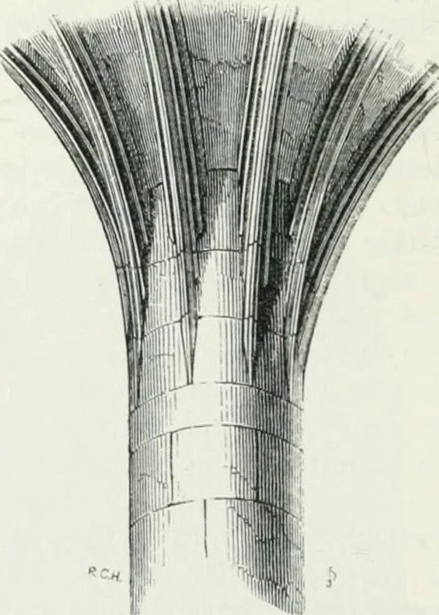 An illustration from An attempt to discriminate the styles of architecture in England : from the Conquest to the Reformation : with a sketch of the Grecian and Roman orders, 1862, leaf 515