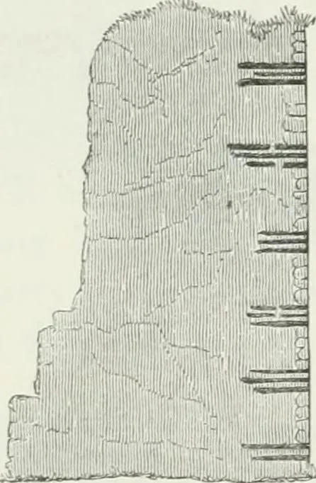 An illustration from An attempt to discriminate the styles of architecture in England : from the Conquest to the Reformation : with a sketch of the Grecian and Roman orders, 1862, leaf 78