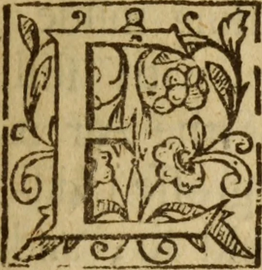 An illustration from England described: or The several counties & shires thereof briefly handled. : Some things also premised, to set forth the glory of this nation., 1659, leaf 20