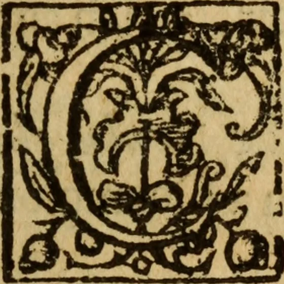 An illustration from England described: or The several counties & shires thereof briefly handled. : Some things also premised, to set forth the glory of this nation., 1659, leaf 48