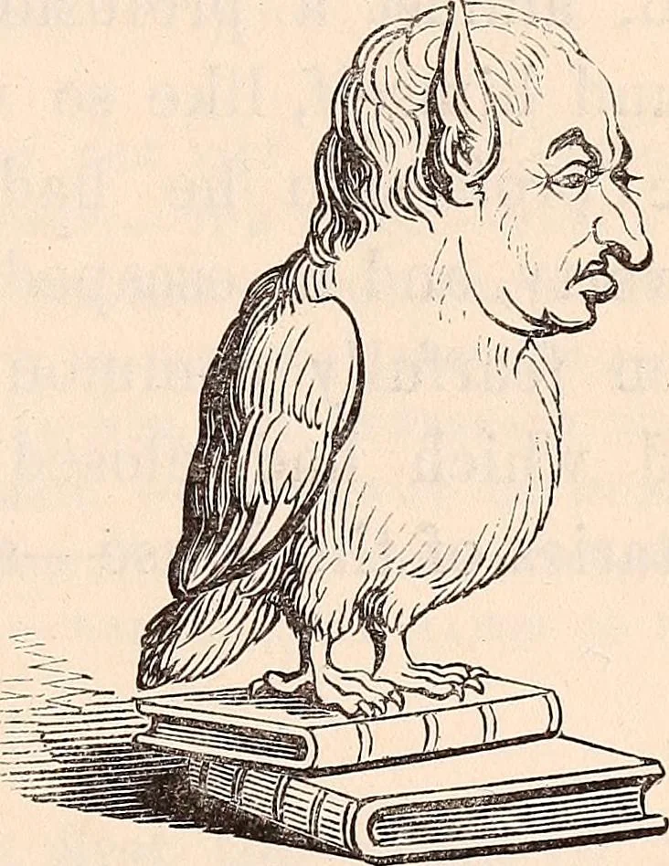 An illustration from England under the house of Hanover; : its history and condition during the reigns of the three Georges, illustrated from the caricatures and satires of the day., 1848, leaf 418