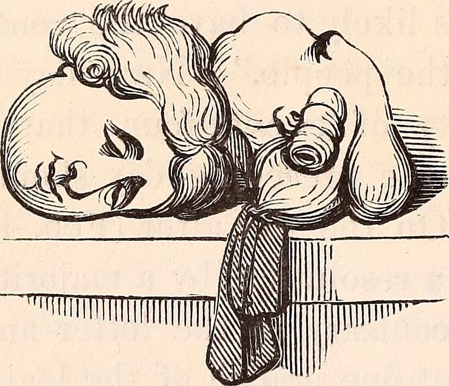 An illustration from England under the house of Hanover; : its history and condition during the reigns of the three Georges, illustrated from the caricatures and satires of the day., 1848, leaf 107