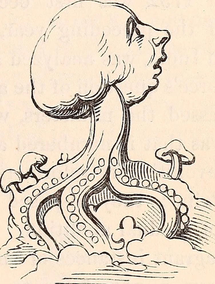 An illustration from England under the house of Hanover; : its history and condition during the reigns of the three Georges, illustrated from the caricatures and satires of the day., 1848, leaf 236