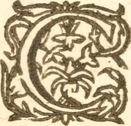 An illustration from The English catechisme explained .., 1623, leaf 29