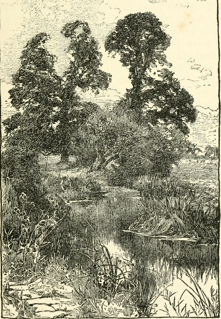 An illustration from English book-illustration of to-day; appreciations of the work of living English illustrators, with lists of their books, 1903, leaf 72