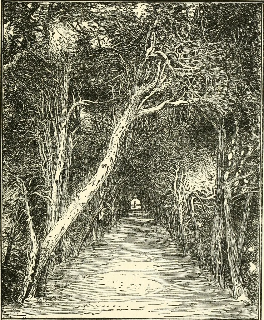 An illustration from English book-illustration of to-day; appreciations of the work of living English illustrators, with lists of their books, 1903, leaf 88