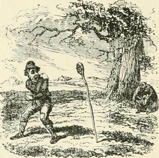 An illustration from English caricaturists and graphic humourists of the nineteeth century : How they illustrated and interpreted their times, 1886, leaf 252