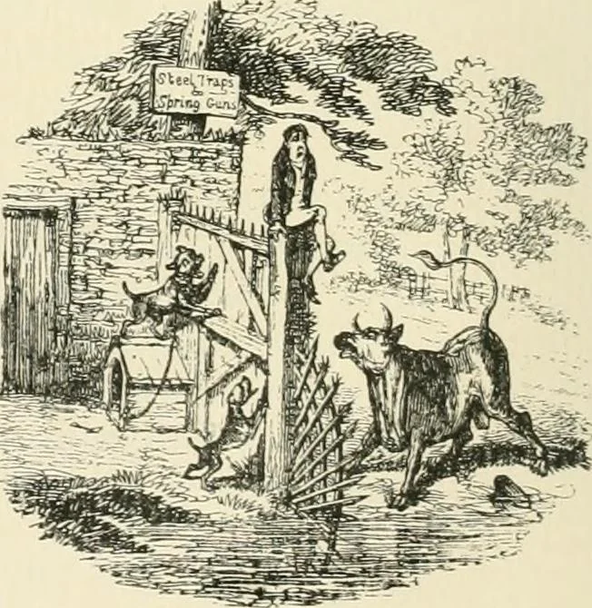 An illustration from English caricaturists and graphic humourists of the nineteeth century : How they illustrated and interpreted their times, 1886, leaf 252