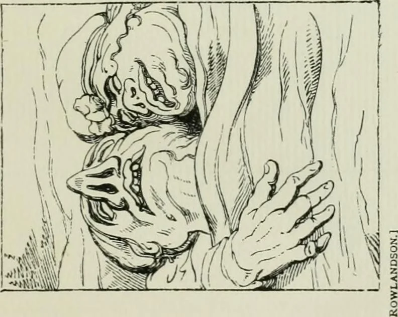 An illustration from English caricaturists and graphic humourists of the nineteeth century : How they illustrated and interpreted their times, 1886, leaf 29