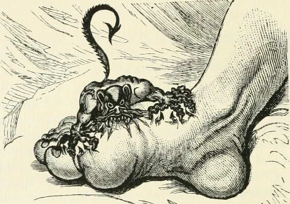 An illustration from English caricaturists and graphic humourists of the nineteeth century : How they illustrated and interpreted their times, 1886, leaf 36