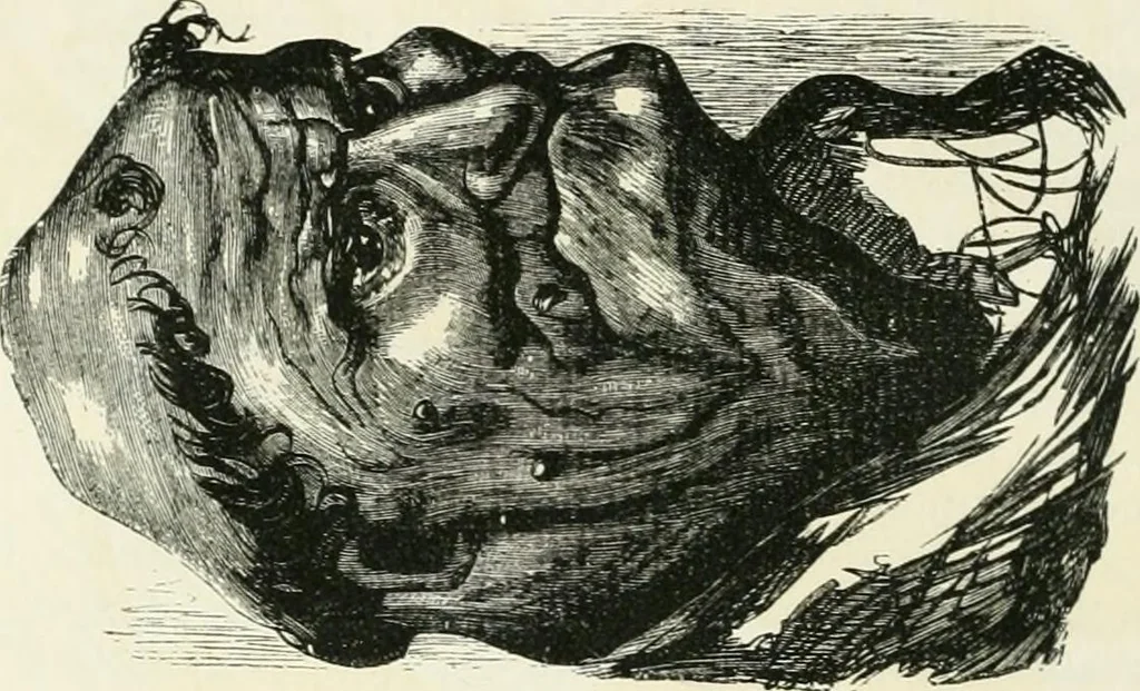 An illustration from English caricaturists and graphic humourists of the nineteeth century : How they illustrated and interpreted their times, 1886, leaf 44