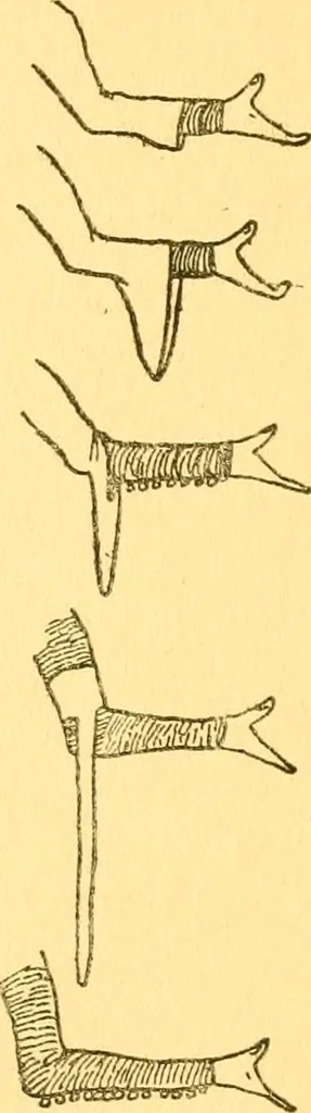 An illustration from English costume, 1906, leaf 71