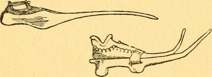 An illustration from English costume, 1906, leaf 86