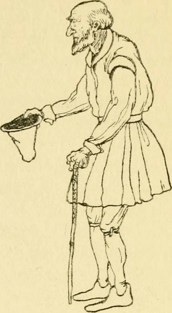 An illustration from English costume, 1906, leaf 175