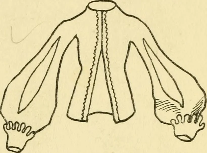 An illustration from English costume, 1906, leaf 189