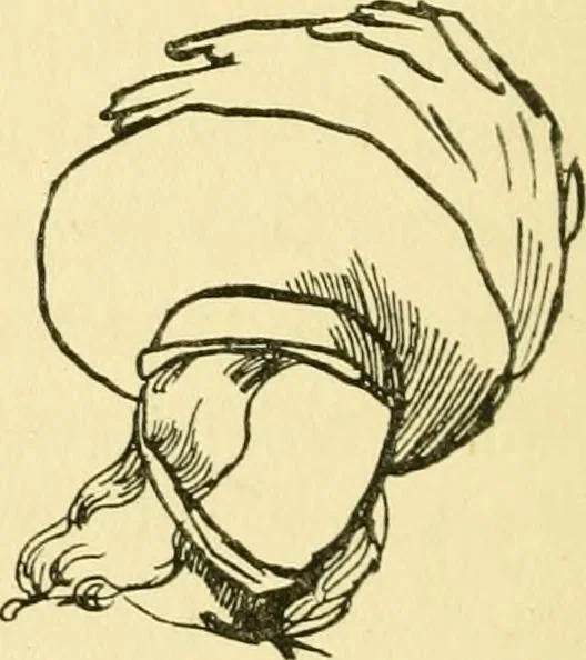 An illustration from English costume, 1906, leaf 22