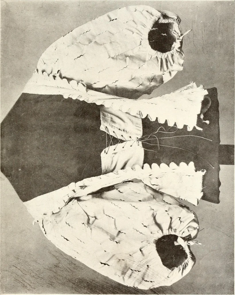 An illustration from English costume from prehistoric times to the end of the eighteenth century, 1910, leaf 193