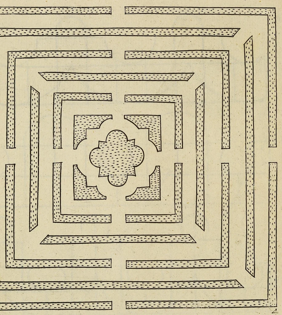 An illustration from The English gardner, or, A sure guide to young planters & gardeners : in three parts. I. Shewing the way and order of planting and raising all sorts of stocks, fruit-trees, and shrubs ... II. How to order the kitchin-garden, for all sorts of herbs, roots, and sallads. III. The ordering of the garden of pleasure ..., 1688, leaf 164