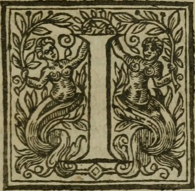 An illustration from The English gentlewoman, drawne out to the full body : expressing, what habilliments doe best attire her, what ornaments doe best adorne her, what complements doe best accomplish her, 1631, leaf 14