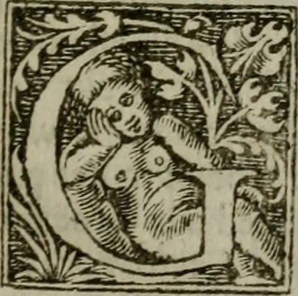 An illustration from The English gentlewoman, drawne out to the full body : expressing, what habilliments doe best attire her, what ornaments doe best adorne her, what complements doe best accomplish her, 1631, leaf 206