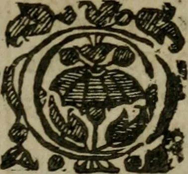 An illustration from The English gentlewoman, drawne out to the full body : expressing, what habilliments doe best attire her, what ornaments doe best adorne her, what complements doe best accomplish her, 1631, leaf 24