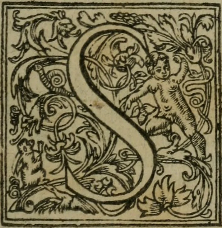 An illustration from The English gentlewoman, drawne out to the full body : expressing, what habilliments doe best attire her, what ornaments doe best adorne her, what complements doe best accomplish her, 1631, leaf 6