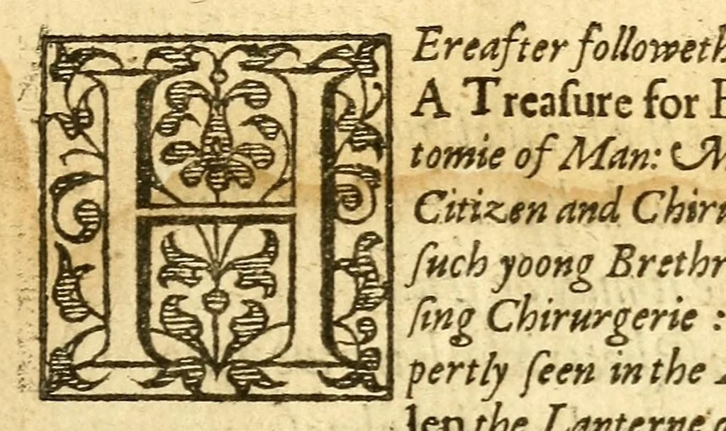 An illustration from The English mans treasure : with the true anatomie of mans bodie, 1599, leaf 19