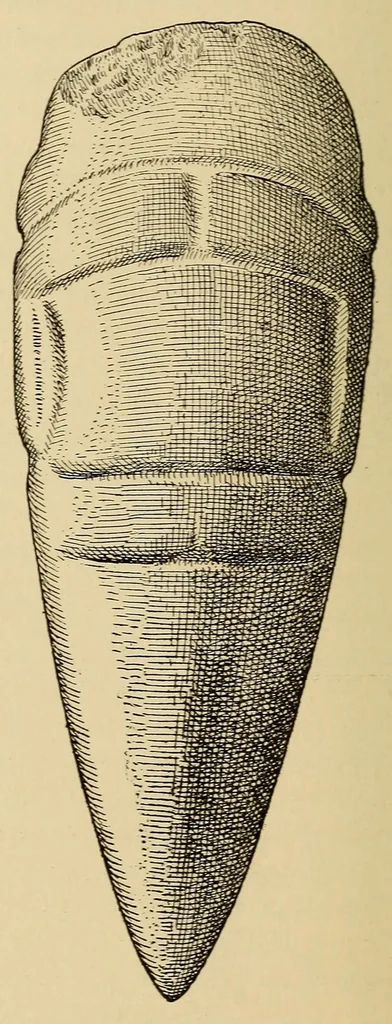An illustration from Engraved celts from the Antilles, 1915, leaf 8