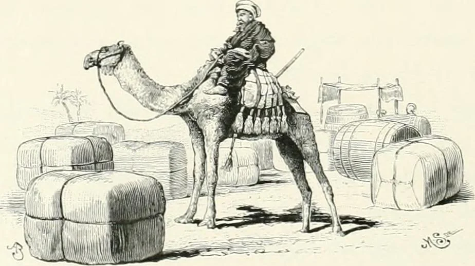 An illustration from Engraved gems; their history and place in art, in which is embodied the author's former treatise, with extensive revisions and additions; reminiscences of travels in the pursuit and acquisition of engraved gems ... to which is added a descriptive list of the author's cabinet of gems, forming a compend of Greek and Roman classics and antiquities .., 1889, leaf 132