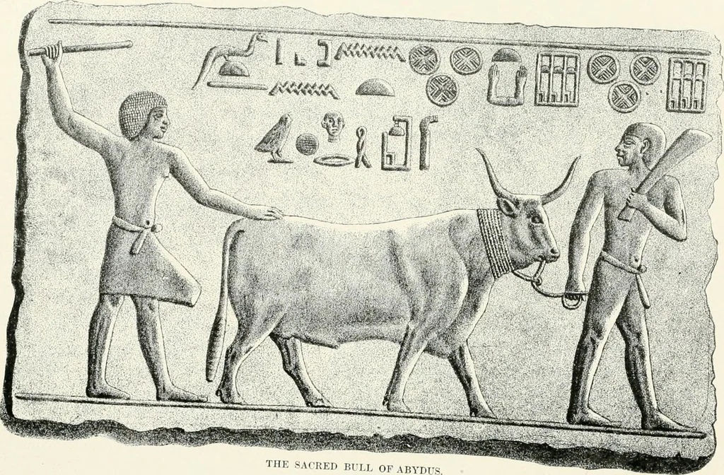 An illustration from Engraved gems; their history and place in art, in which is embodied the author's former treatise, with extensive revisions and additions; reminiscences of travels in the pursuit and acquisition of engraved gems ... to which is added a descriptive list of the author's cabinet of gems, forming a compend of Greek and Roman classics and antiquities .., 1889, leaf 212
