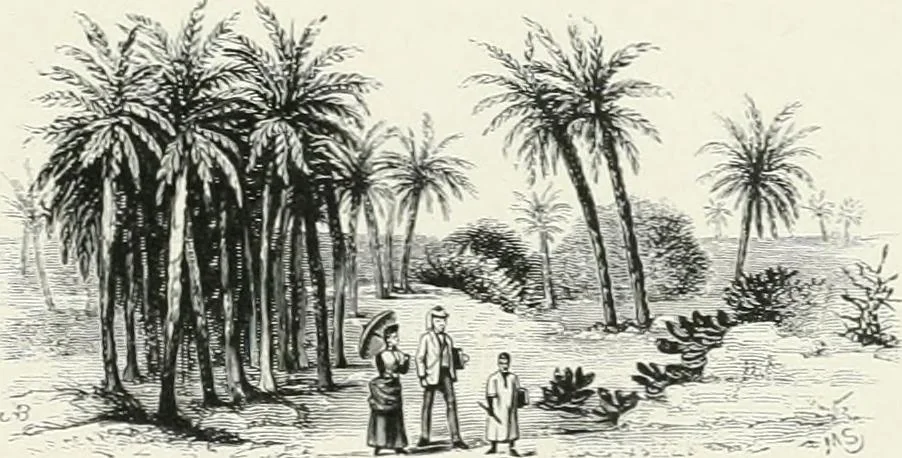An illustration from Engraved gems; their history and place in art, in which is embodied the author's former treatise, with extensive revisions and additions; reminiscences of travels in the pursuit and acquisition of engraved gems ... to which is added a descriptive list of the author's cabinet of gems, forming a compend of Greek and Roman classics and antiquities .., 1889, leaf 231