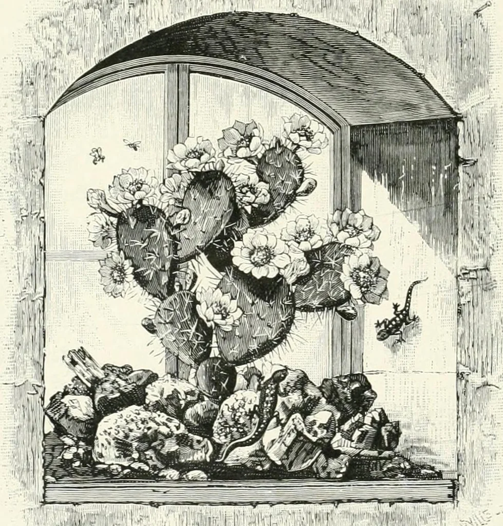An illustration from Engraved gems; their history and place in art, in which is embodied the author's former treatise, with extensive revisions and additions; reminiscences of travels in the pursuit and acquisition of engraved gems ... to which is added a descriptive list of the author's cabinet of gems, forming a compend of Greek and Roman classics and antiquities .., 1889, leaf 240