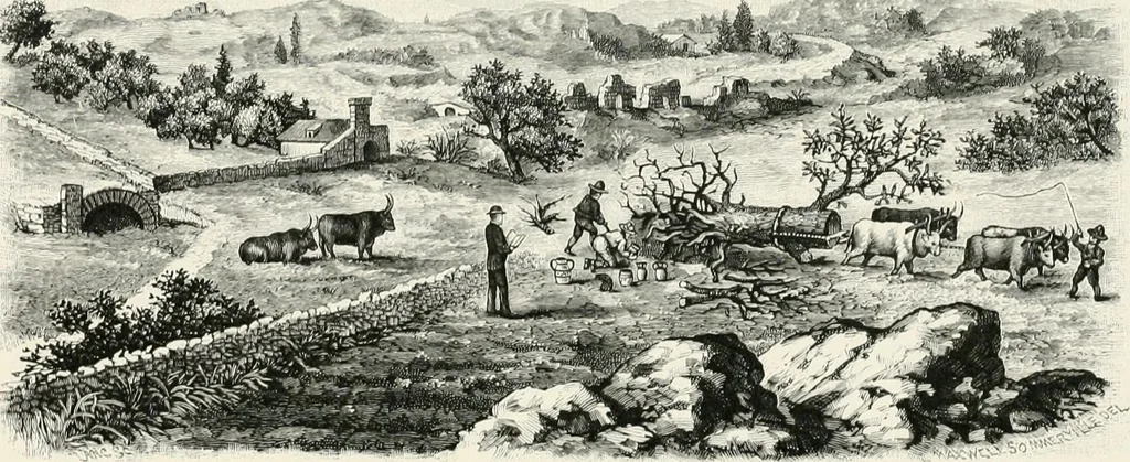 An illustration from Engraved gems; their history and place in art, in which is embodied the author's former treatise, with extensive revisions and additions; reminiscences of travels in the pursuit and acquisition of engraved gems ... to which is added a descriptive list of the author's cabinet of gems, forming a compend of Greek and Roman classics and antiquities .., 1889, leaf 395
