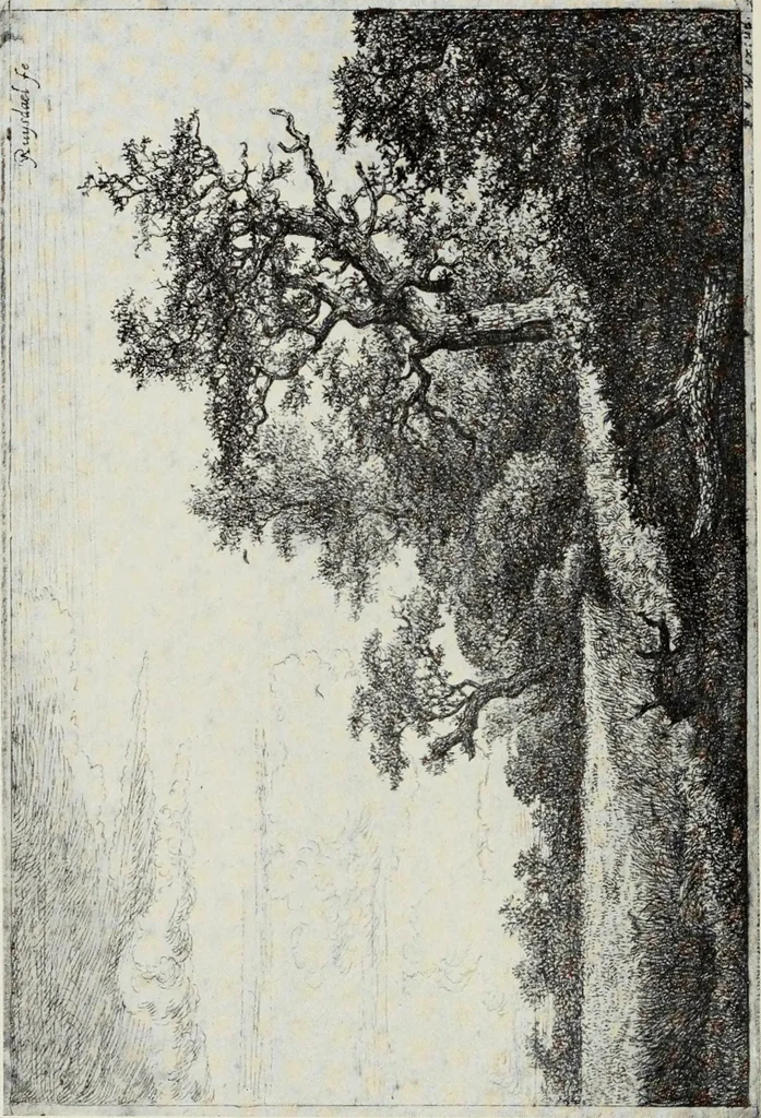 An illustration from Engravers and etchers : six lectures delivered on the Scammon Foundation at the Art Institute of Chicago, March 1916, 1917, leaf 252