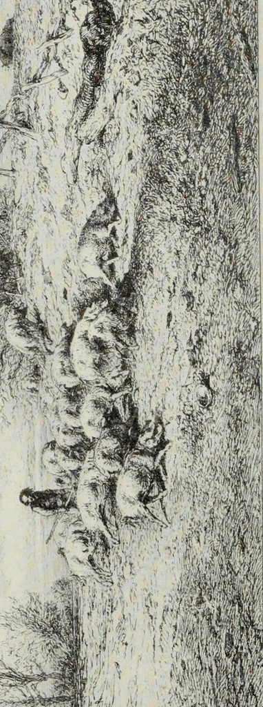 An illustration from Engravers and etchers : six lectures delivered on the Scammon Foundation at the Art Institute of Chicago, March 1916, 1917, leaf 258