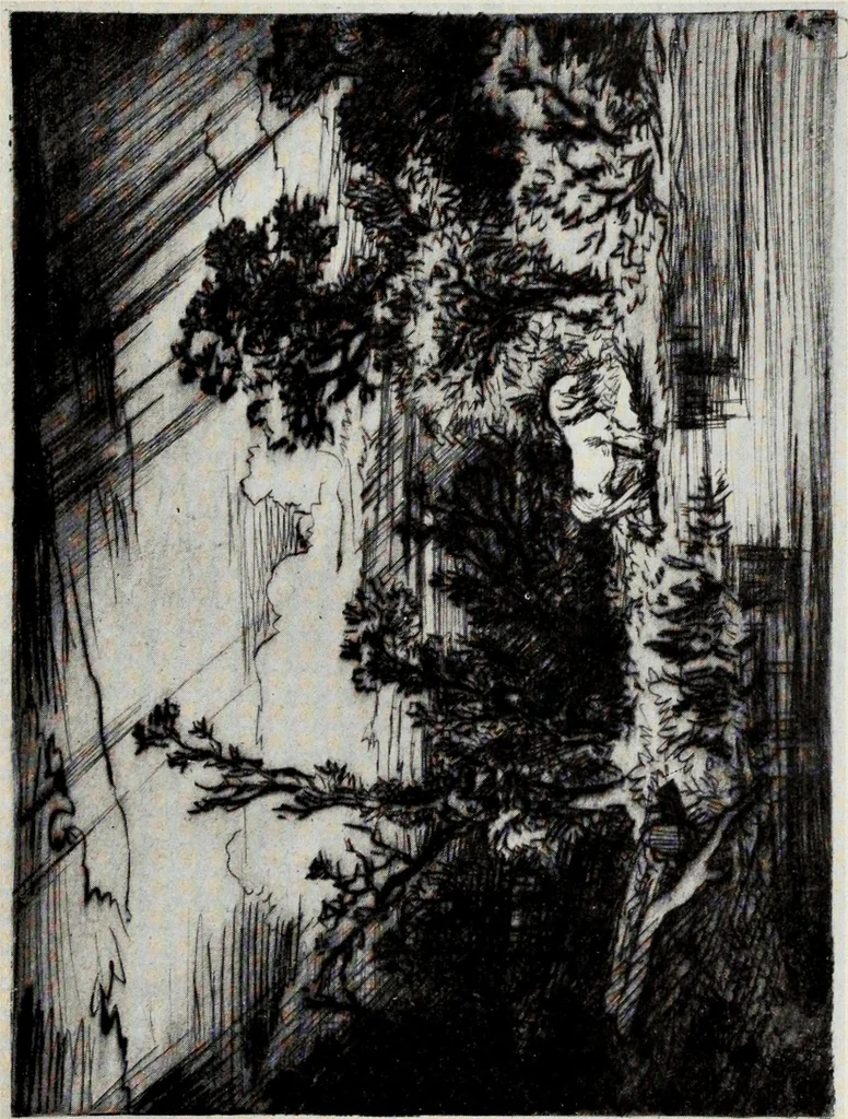 An illustration from Engravers and etchers : six lectures delivered on the Scammon Foundation at the Art Institute of Chicago, March 1916, 1917, leaf 261