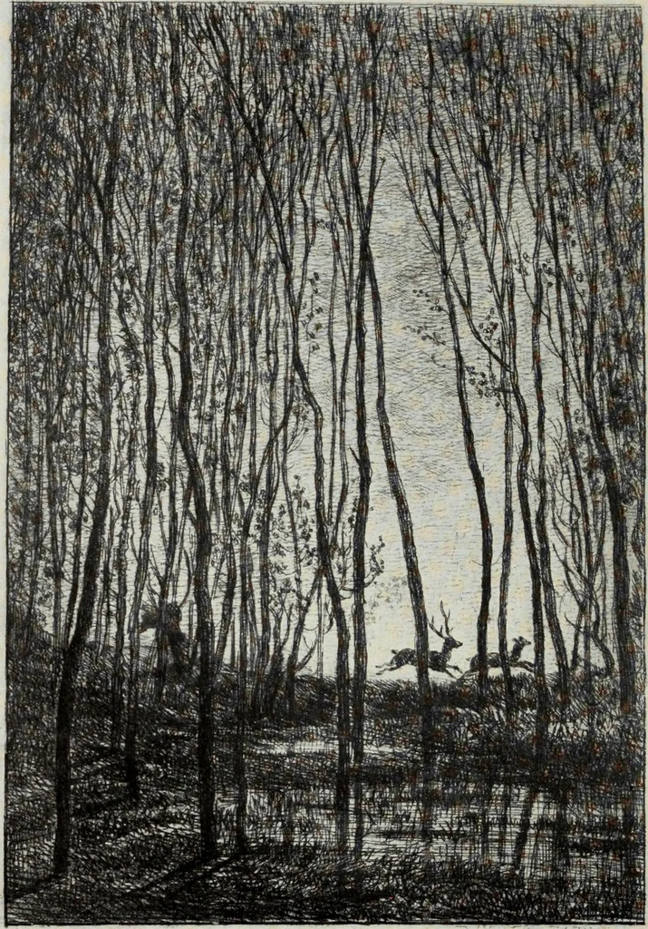 An illustration from Engravers and etchers : six lectures delivered on the Scammon Foundation at the Art Institute of Chicago, March 1916, 1917, leaf 262