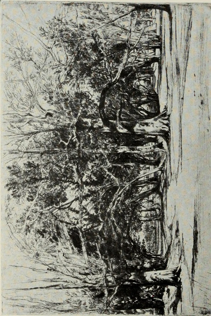 An illustration from Engravers and etchers : six lectures delivered on the Scammon Foundation at the Art Institute of Chicago, March 1916, 1917, leaf 274