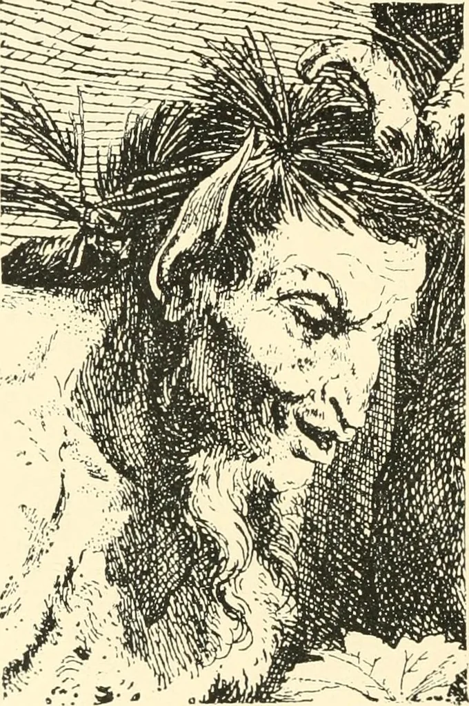 An illustration from Engraving and etching : a handbook for the use of students and print collectors, 1907, leaf 252