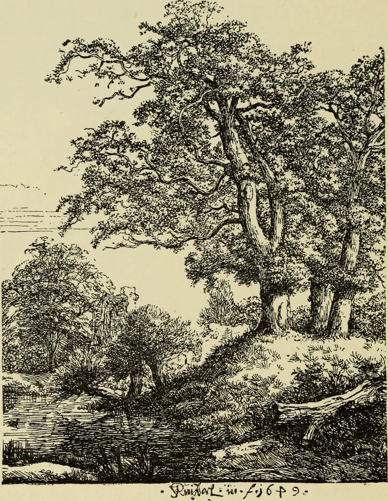 An illustration from Engraving and etching; a handbook for the use of students and print collectors, 1906, leaf 185