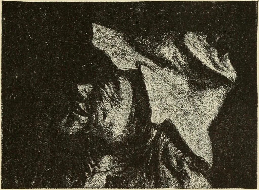 An illustration from Engraving and etching; a handbook for the use of students and print collectors, 1906, leaf 274