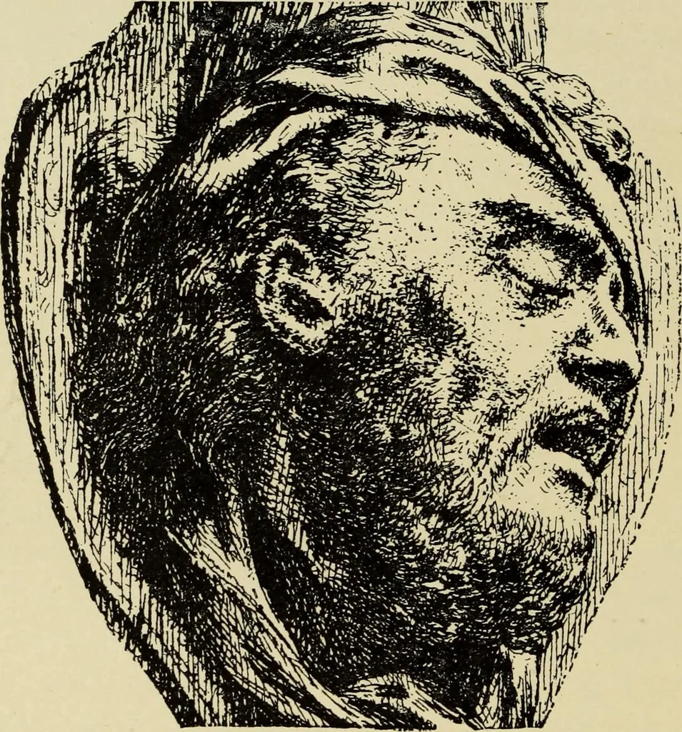 An illustration from Engraving and etching; a handbook for the use of students and print collectors, 1906, leaf 305